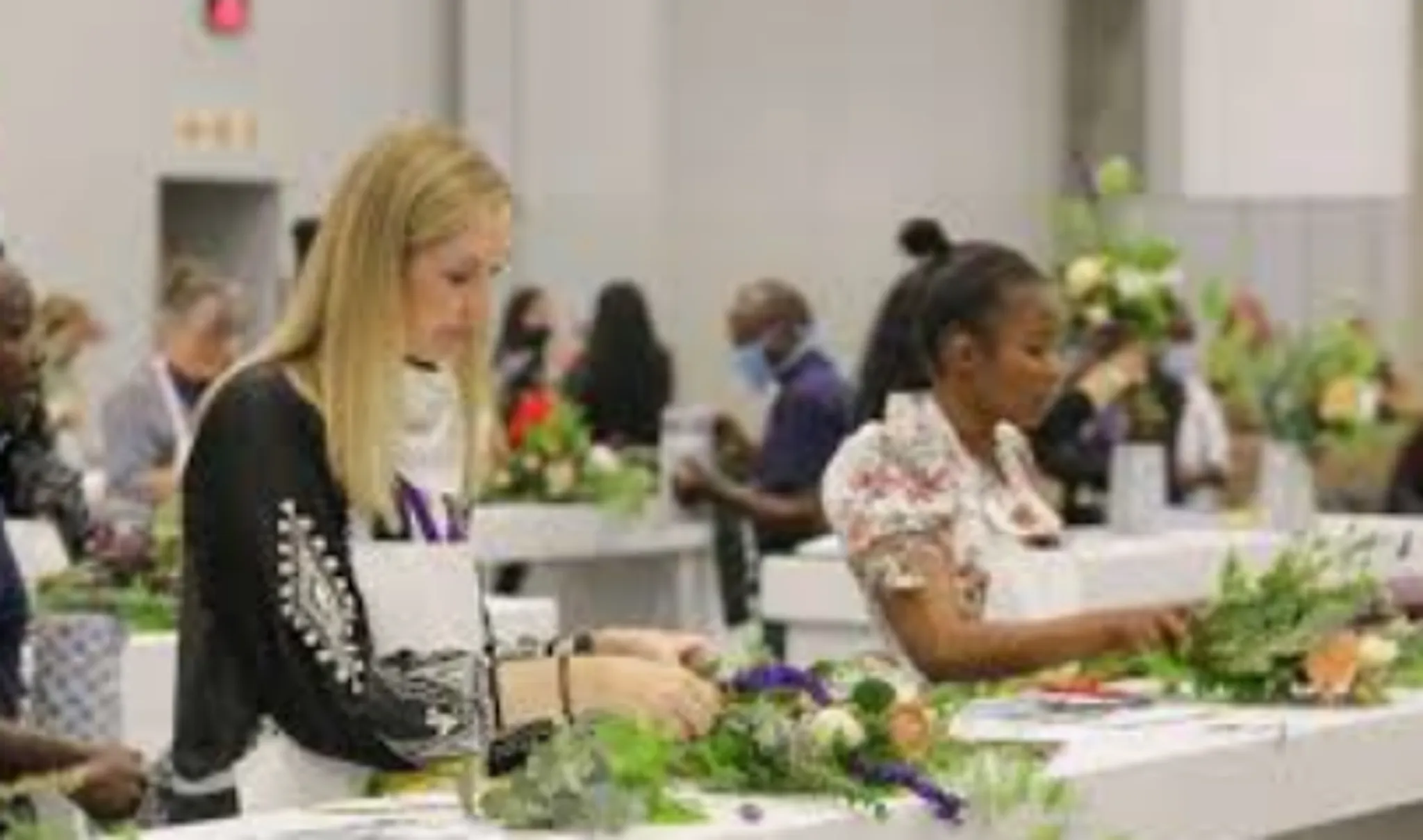 The Plant Powered Show - Cape Town